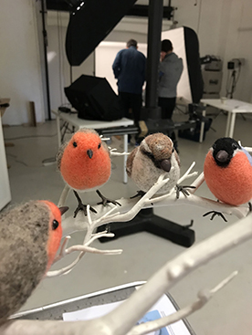 Birds in the studio