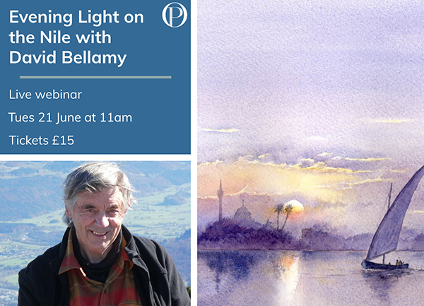 Evening Light on the Nile with David Bellamy – Live Webinar